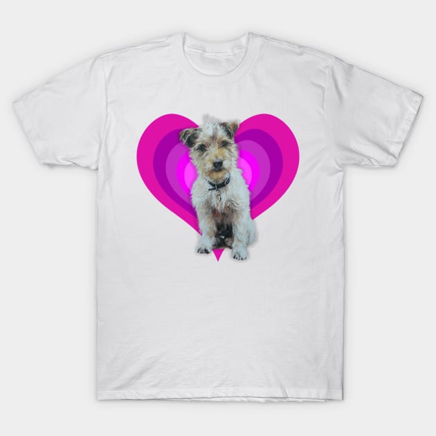 Gorgeous Jack Russell pup on a rainbow heart T-Shirt by StudioFluffle